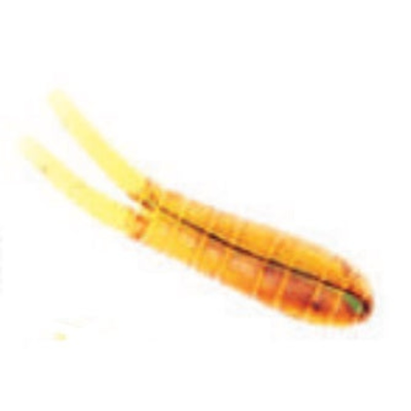 Betts Spin 1/16 Value Pack Split Tail Orange Craw Glitter