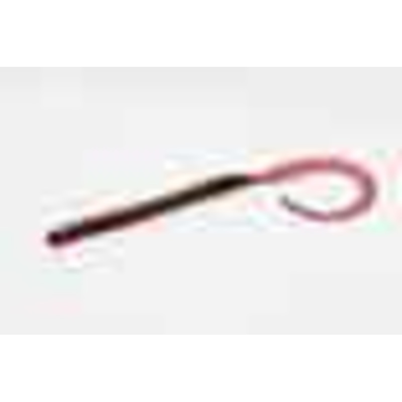 Zoom Ole Monster 10.5in 9/bag Red Bug