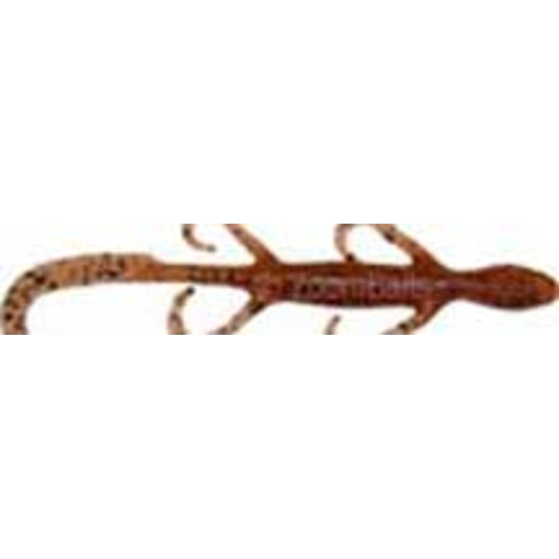 Zoom Lizard 6" 9/bag  Pumpkin