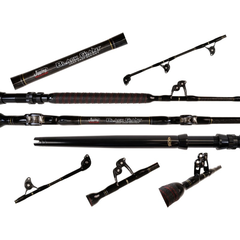 Jigging World JW-BGDD-66S BLACK GIANT DEEP DROP TROLLING 6'9" 100-200LB STRAIGHT ALPS #4