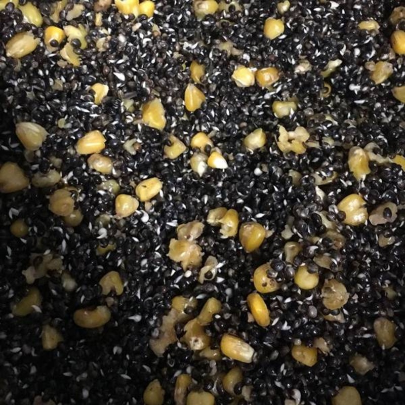 Hemp and Maize Freshly Prepared