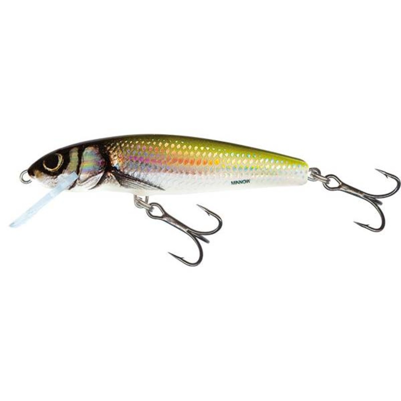 Salmo Minnow Floating 7cm