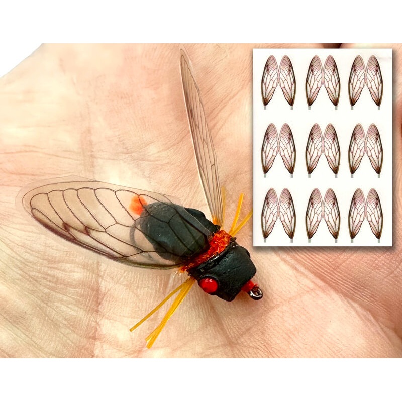 Cicada Wings - Orange