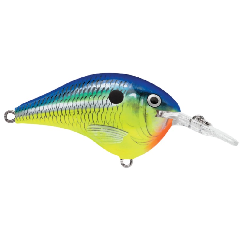 Rapala DT Series 6' 3/8 2" Parrot