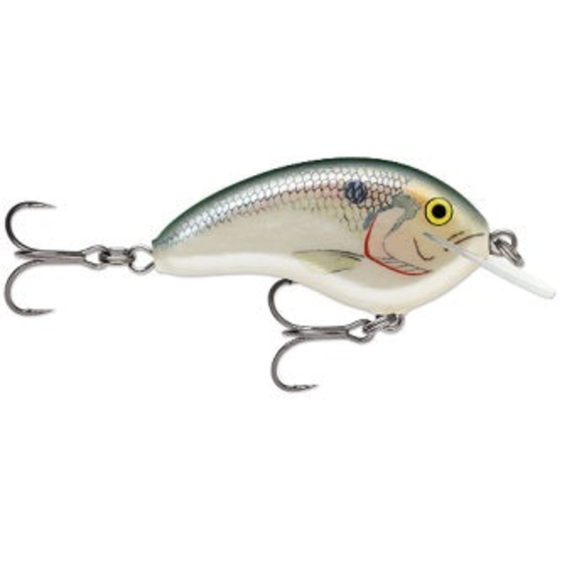 Rapala Ott Garage Tiny 4' 5/16 2.25" Big Shad