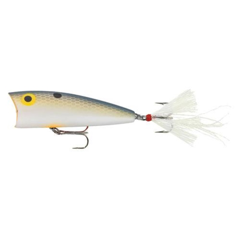 Rebel Small Pop-R 1/8 Foxy Shad