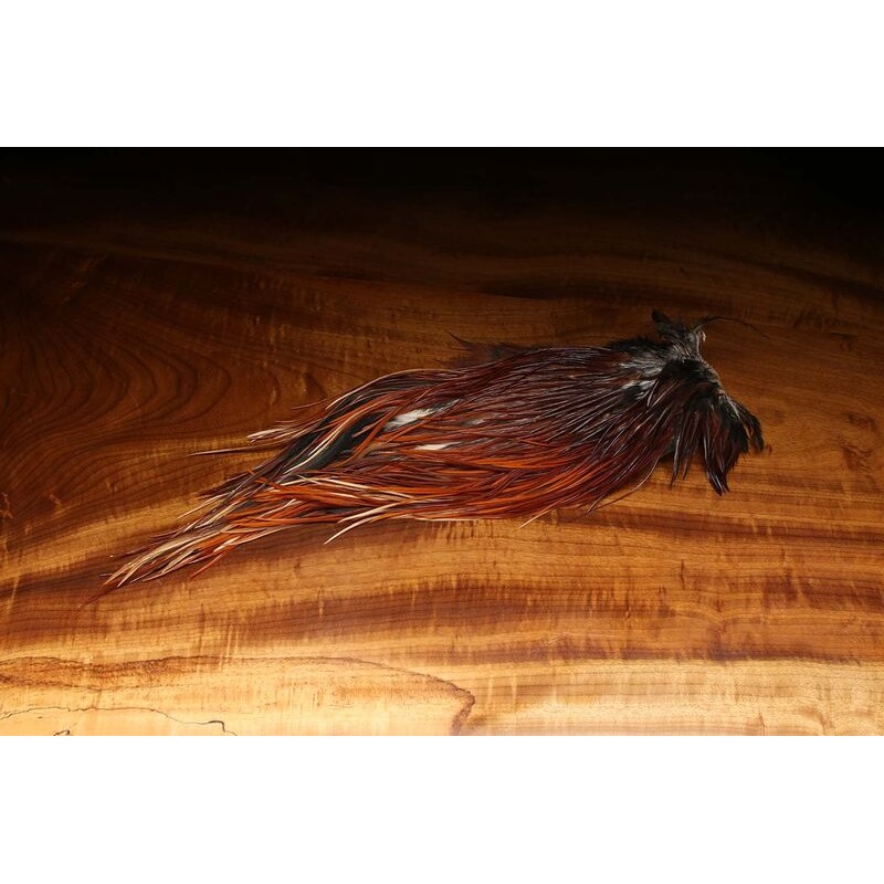 Dyed over White Saddle Patch - Brown