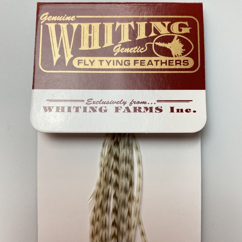 Whiting 100 Pack Dry Fly Hackle  - Dun Grizzly - 18