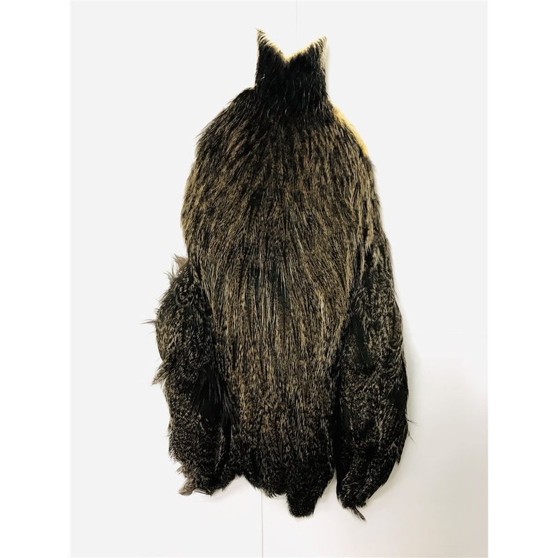 Whiting Coq De Leon Hen Cape