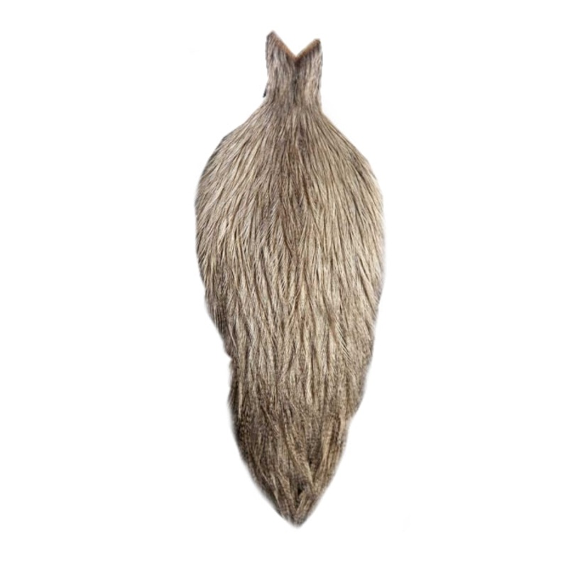 Whiting Coq De Leon Rooster Cape