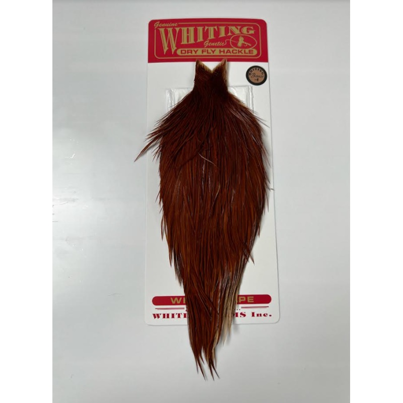 Whiting Rooster Dry Fly Cape - Bronze
