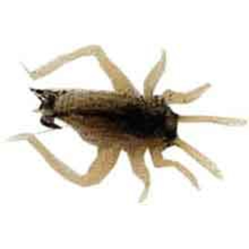 Creme Cricket Small Brown 2 pack