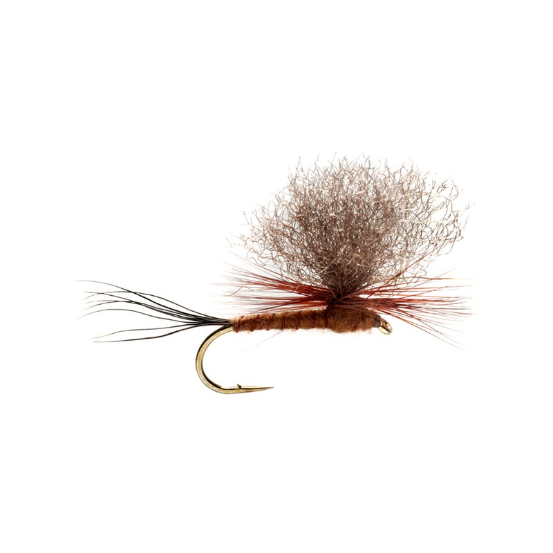 Burkus Brown Drake Dun