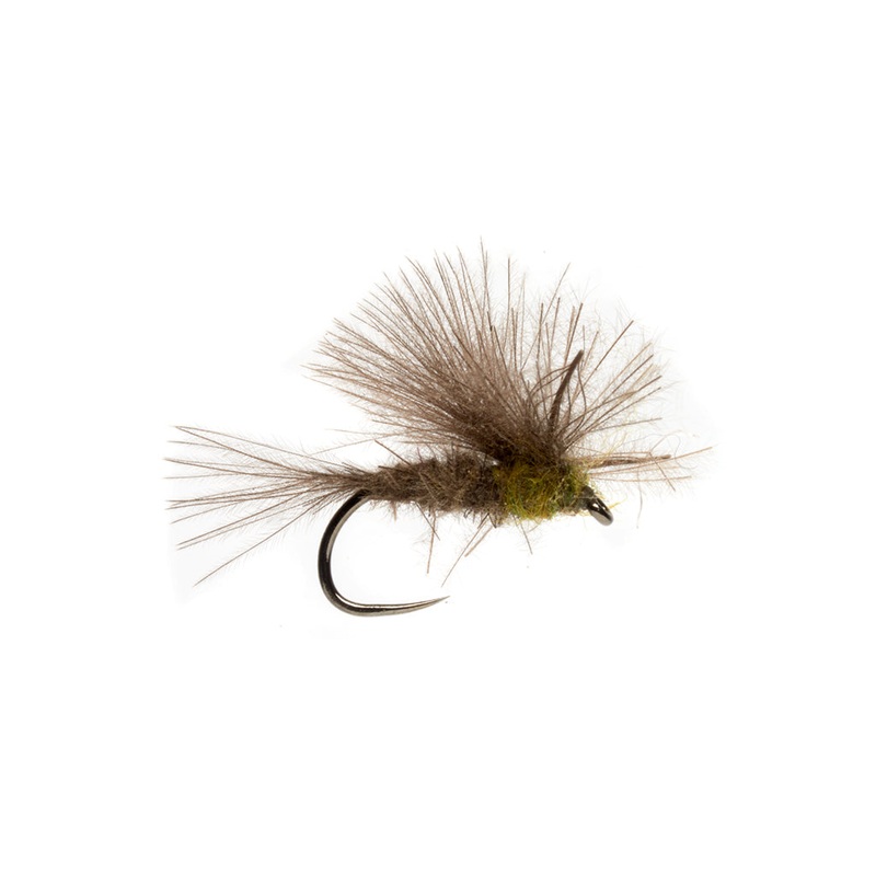 Elden's CDC BWO Emerger