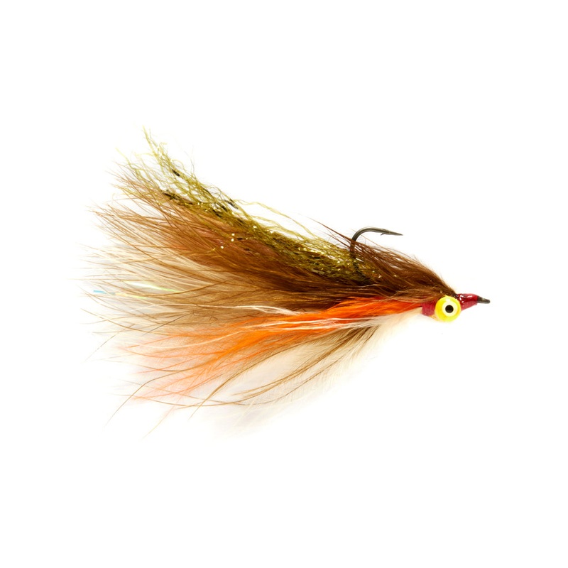 Elden's Shiner Minnow