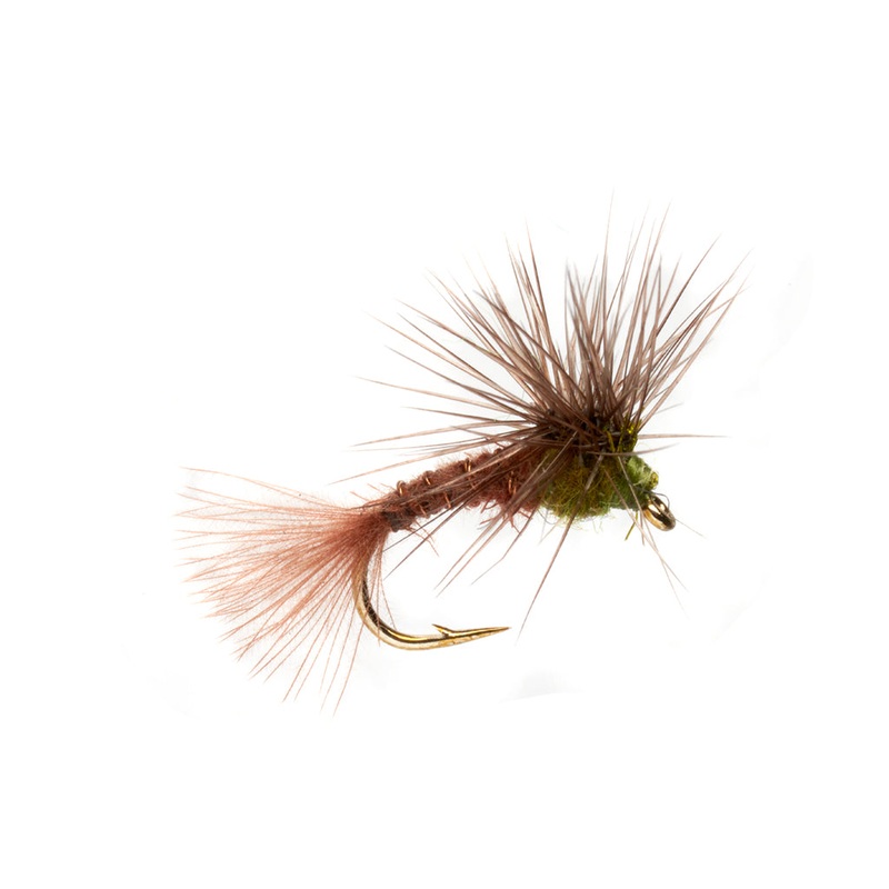 Keegan's Stacked BWO-MY