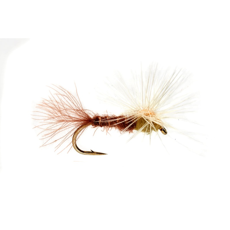 Keegan's Stacked PM Double D
