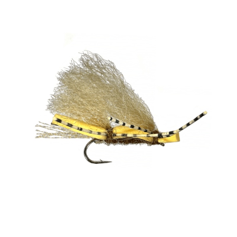 Will's Chubby Peanut - Micro