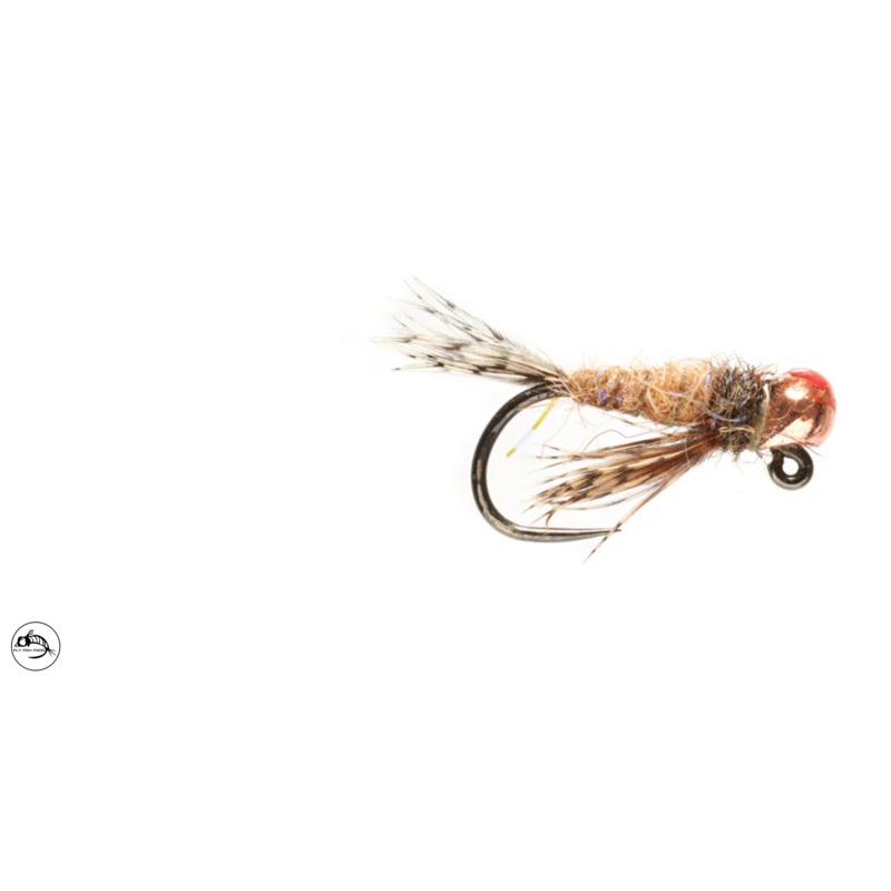 Callibungus Nymph