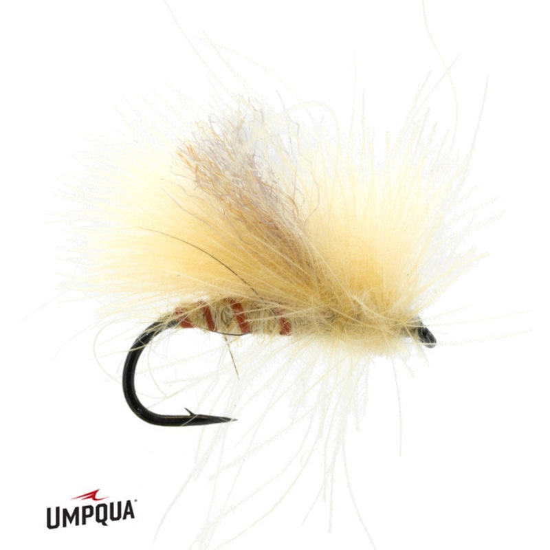 Corn-Fed Spruce Moth