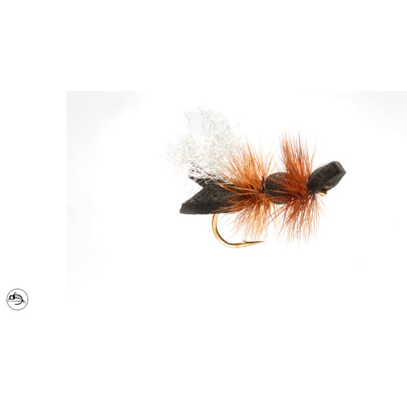 Galactic Ant - Black