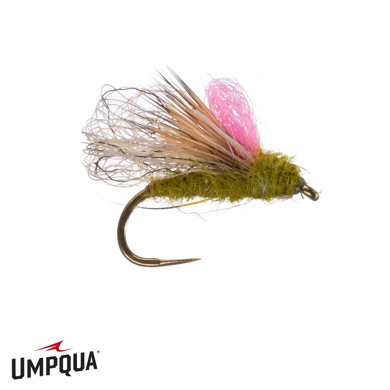Hellion Caddis - Olive