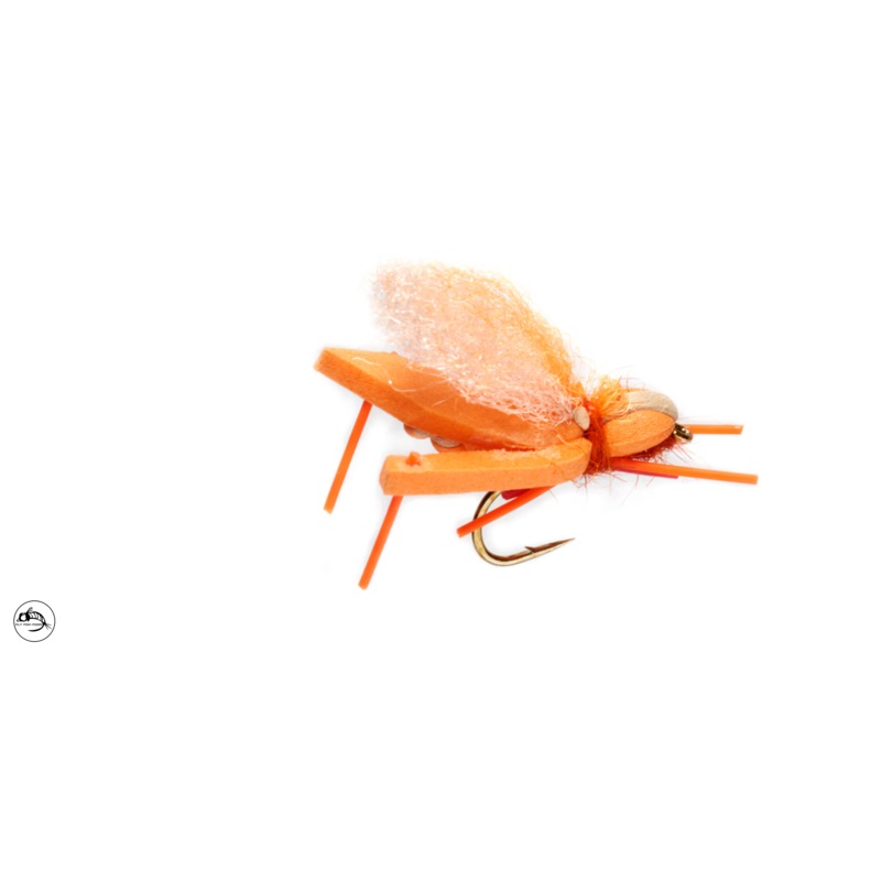 Hoptimus Prime - Indicator Orange