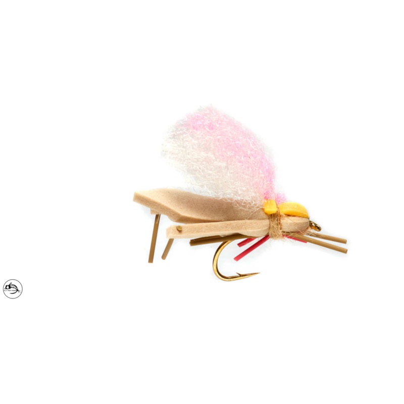 Hoptimus Prime - Tan, Gold & Pink