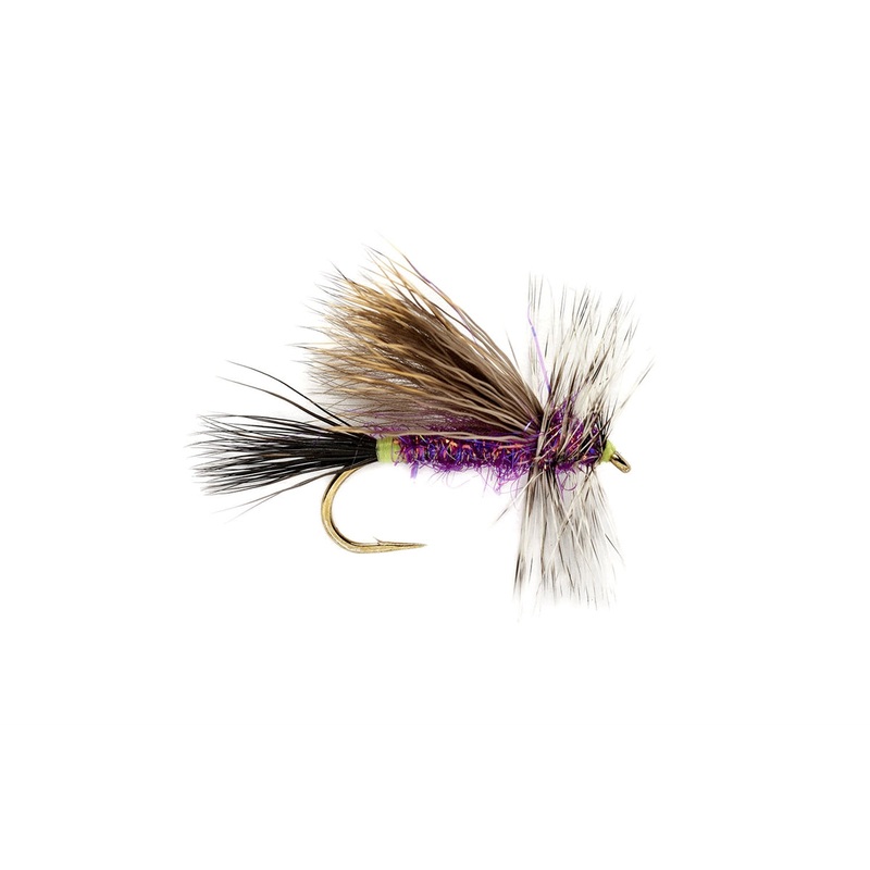 Butthead Purple
