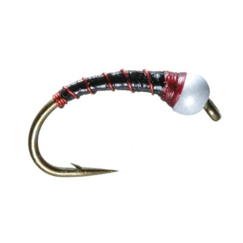 Chiron Pupa Black & Red