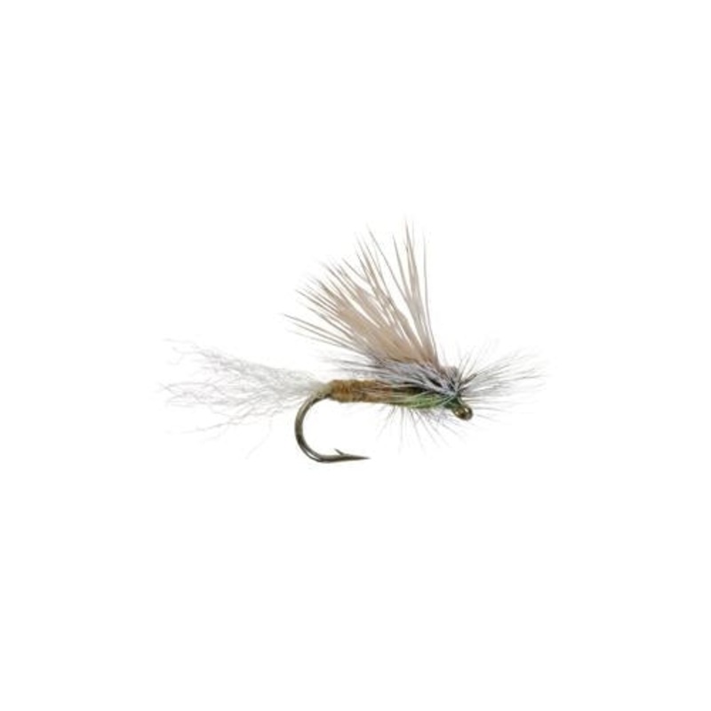 E/C Caddis - Olive