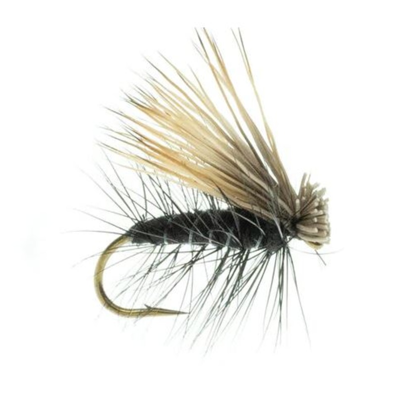 Elk Caddis Black