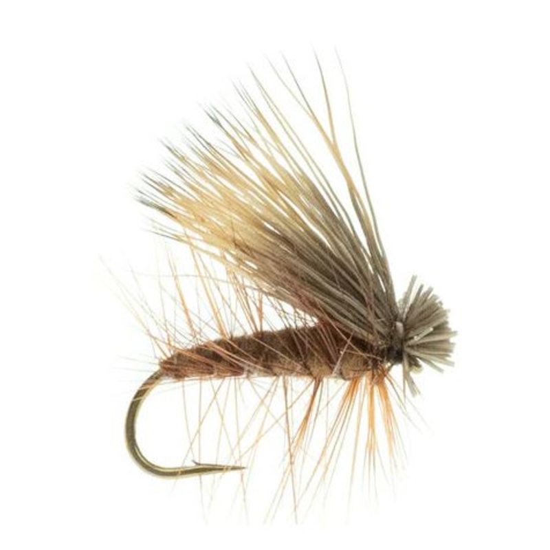 Elk Caddis Brown