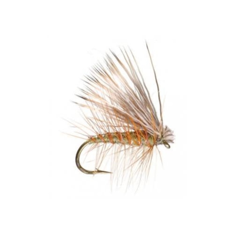 Elk Caddis Olive