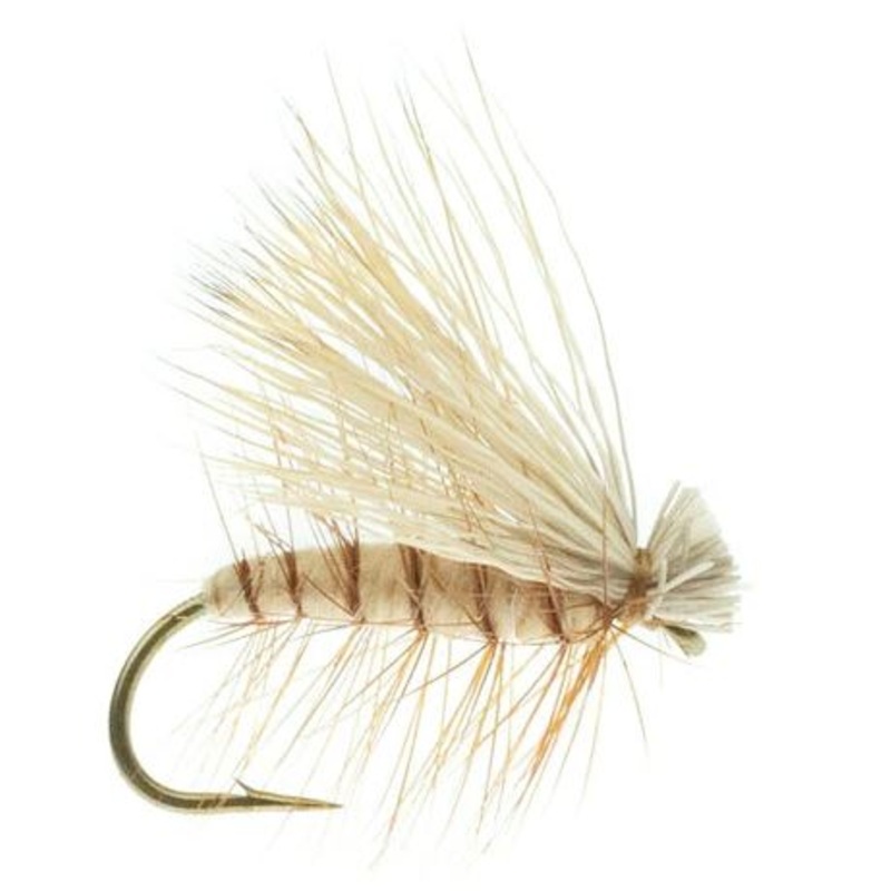 Elk Caddis Tan