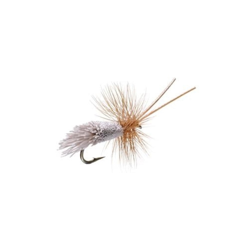 Goddard Caddis
