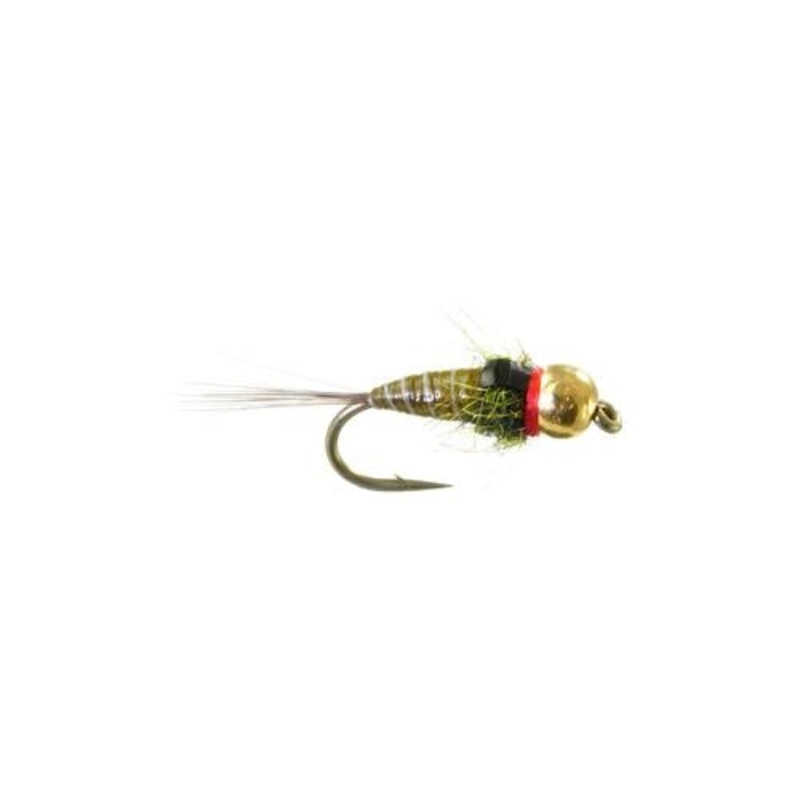Iron Lotus Olive