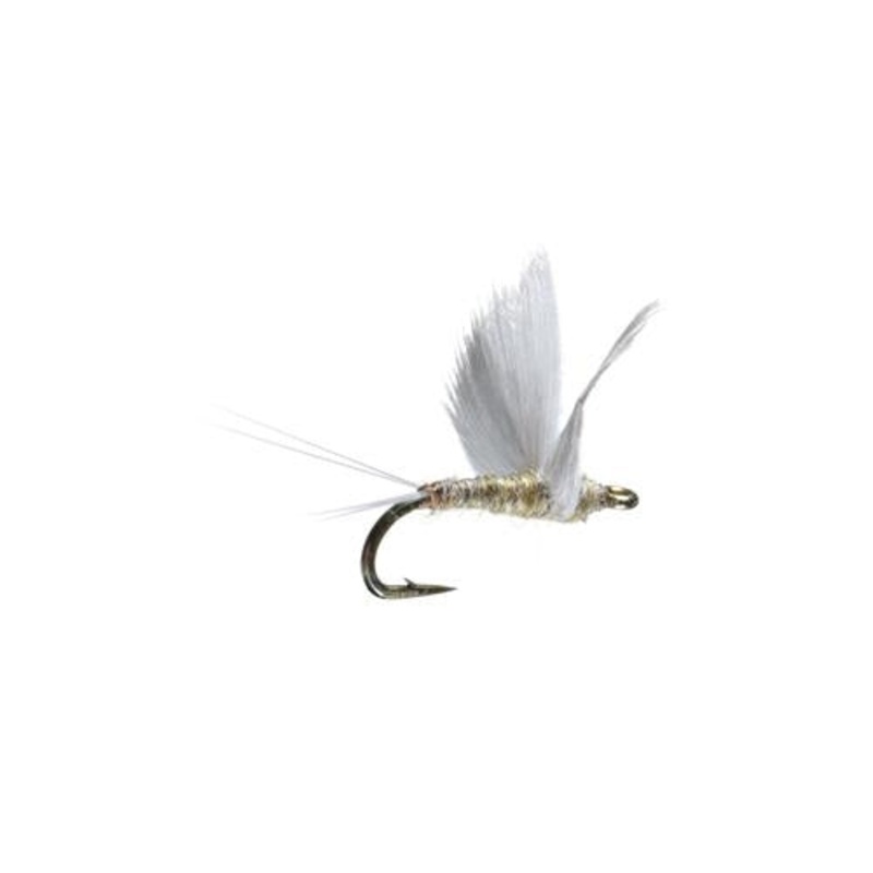 No Hackle Gray/Olive
