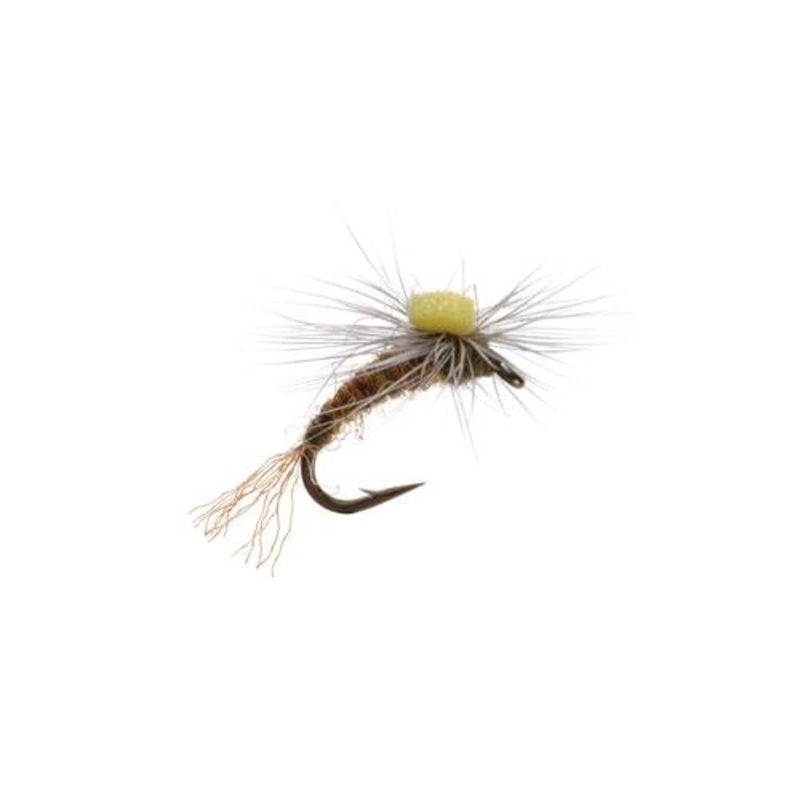 Para Emerger BWO