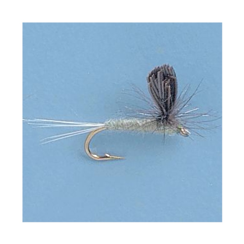Parachute Baetis