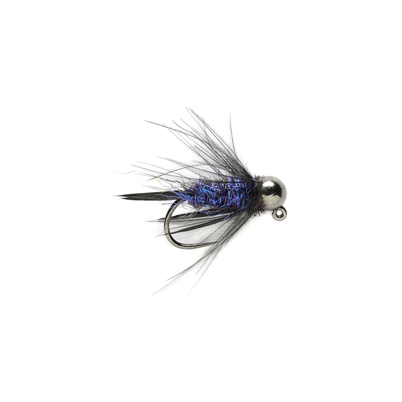 Purple Reign Prince Nymph