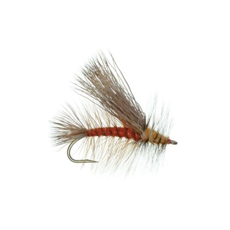 Stimulator Olive