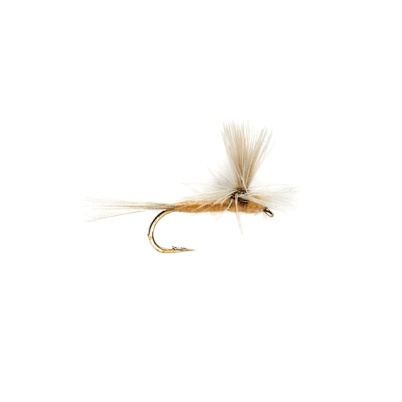 Sulphur Parachute