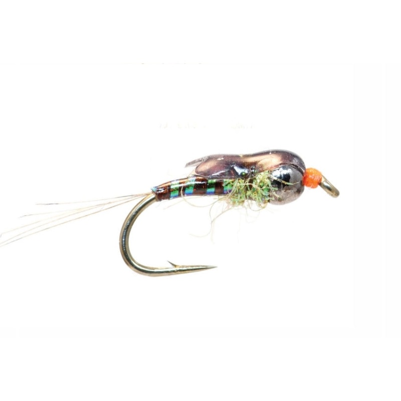 Aero Baetis