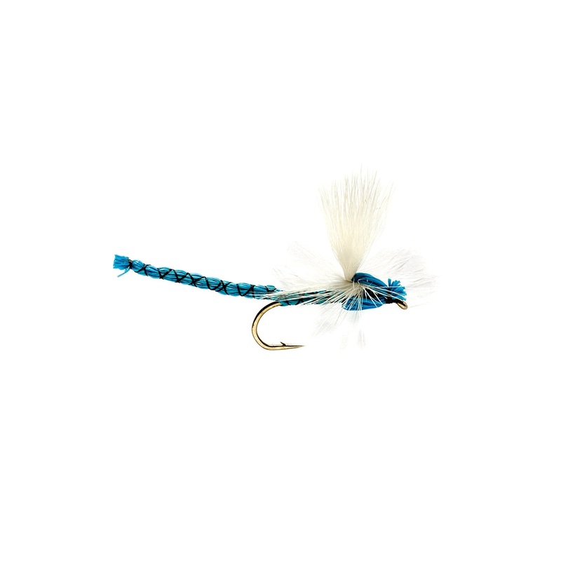 Blue Damsel