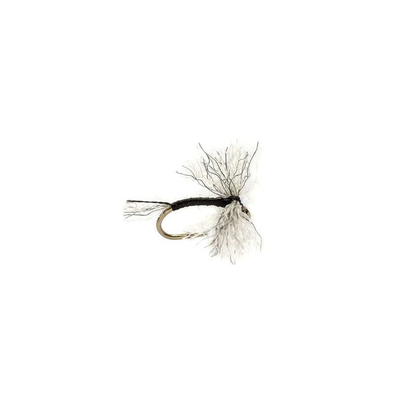 Bunny Midge Black