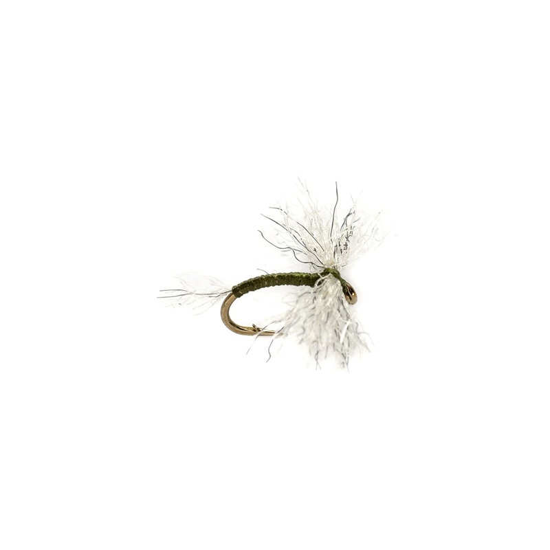 Bunny Midge Olive