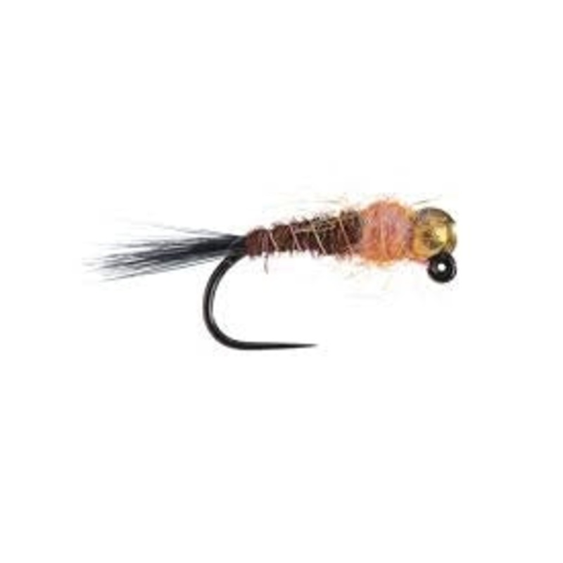 Egan's Jig Frenchie