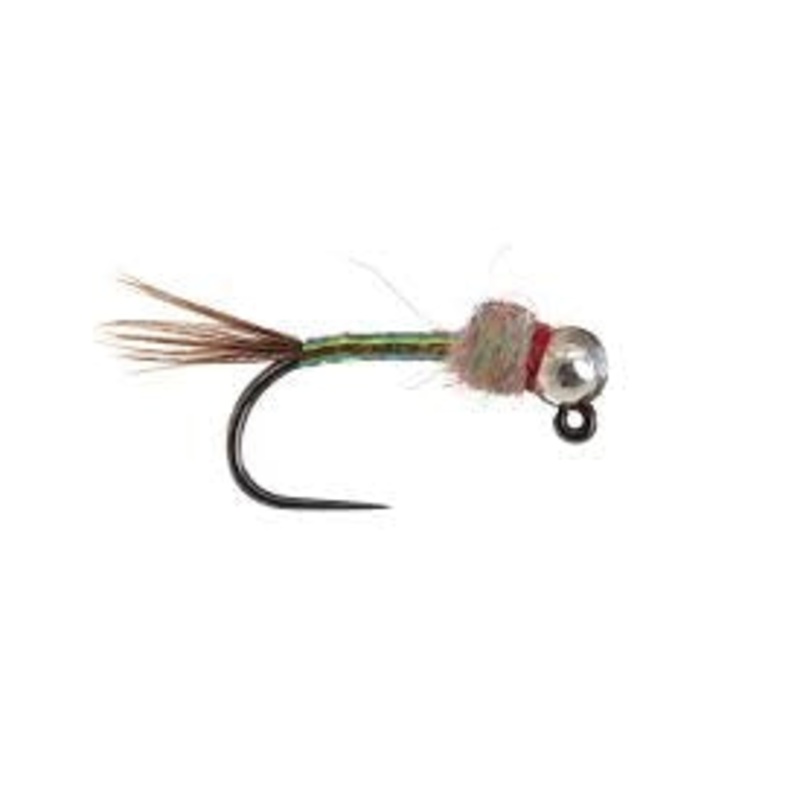 Egan's Jig Rainbow Warrior