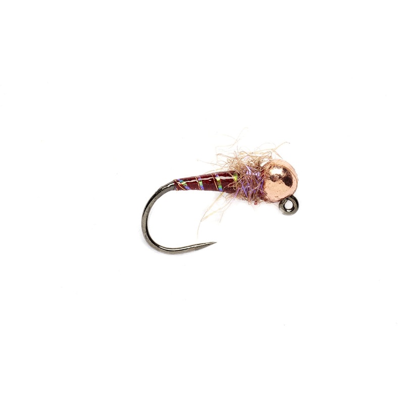 Espresso Midge Claret